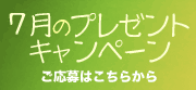 Payaka����Υץ쥼��ȥ����ڡ���