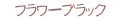�ե��֥�å�
