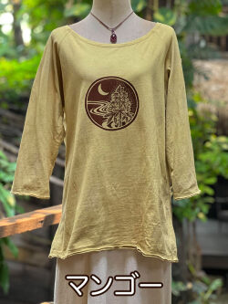 マンゴー