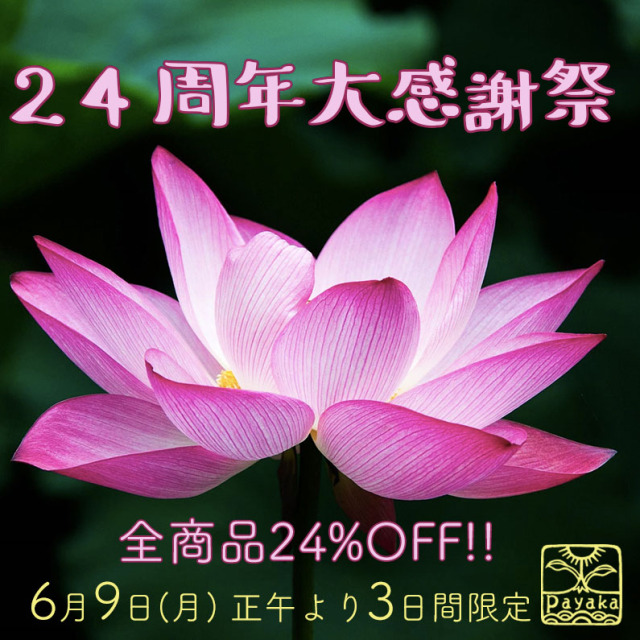 パヤカ24周年ありがとうSALE