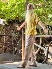 コーディネート