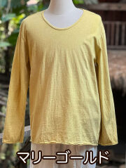 マリーゴールド