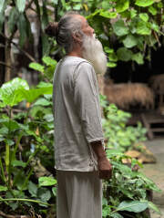 コーディネート