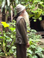 コーディネート