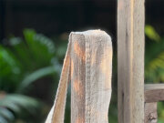 部分写真